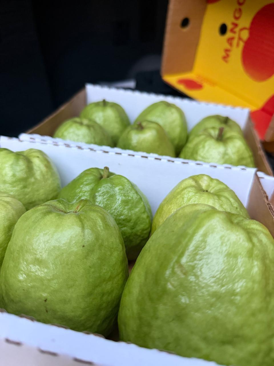 Guayaba