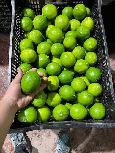 Foto Limón Verde