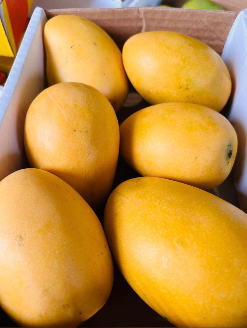 Mango Mingolo