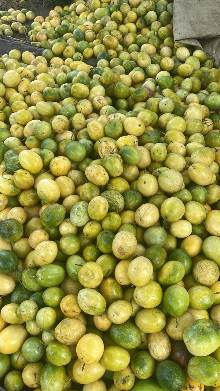 Maracuyá
