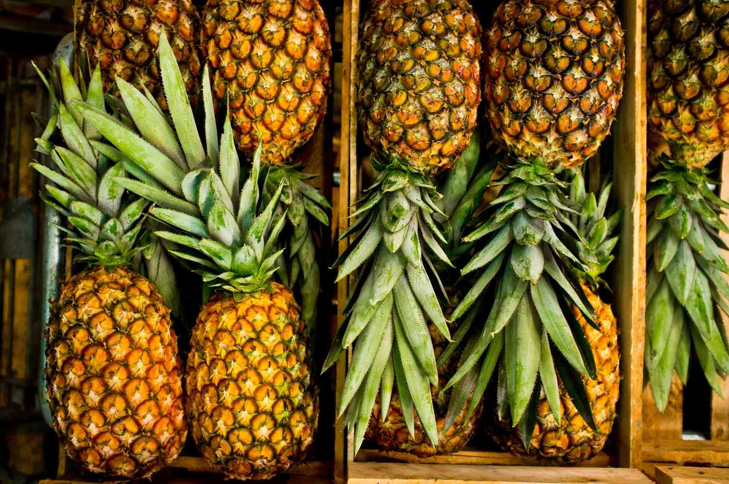 Foto Piña