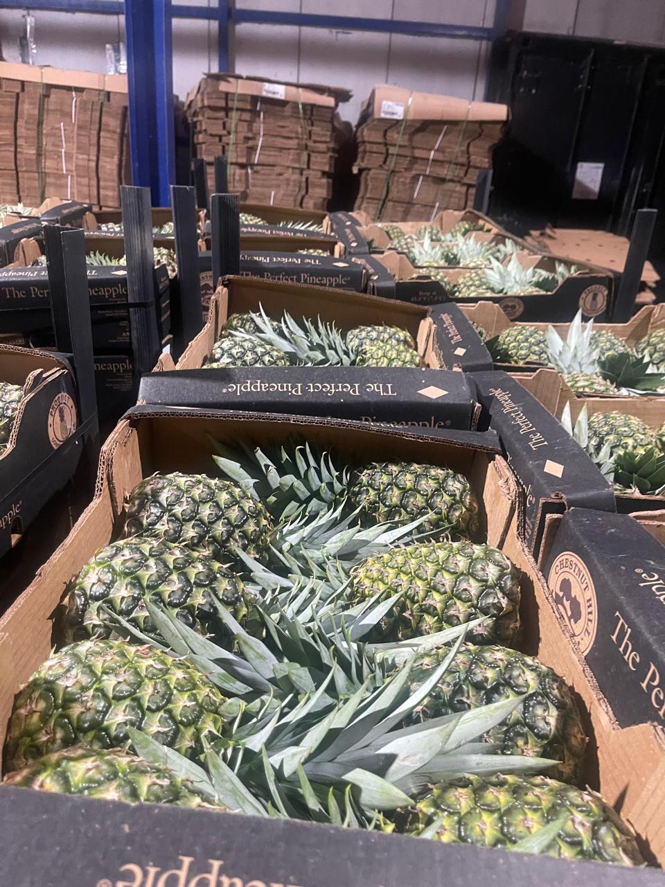 Foto Piña