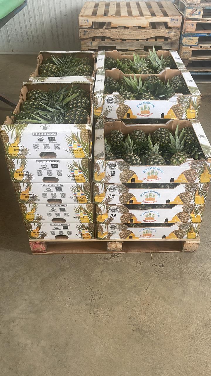 Foto Piña